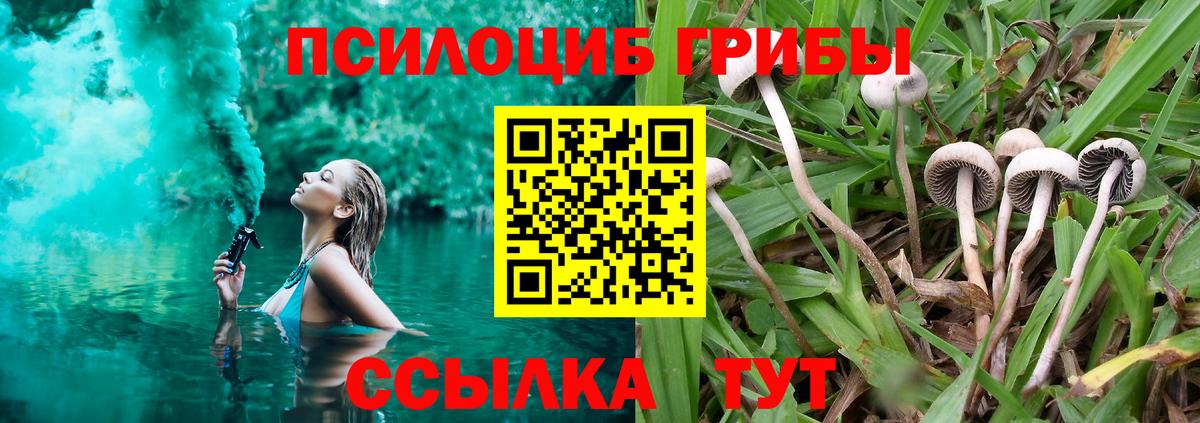 Псилоцибиновые грибы GOLDEN TEACHER  Псилоцибиновые грибы Magic Shrooms  Наро-Фоминск  Вход с VPN 